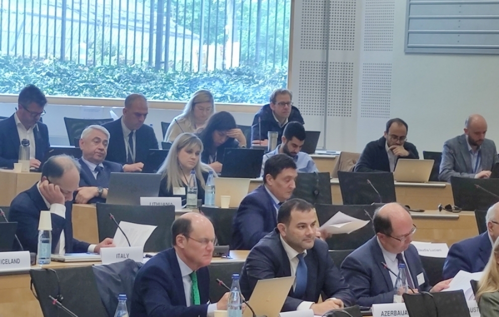 Avropa demokratiya və idarəetmə Komitəsinin yaşıl dövlət idarəçiliyinə dair konfransı başa çatıb VİDEO