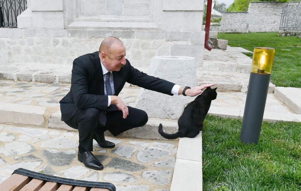 Первый вице-президент Мехрибан Алиева поделилась публикацией из Шуши ВИДЕО