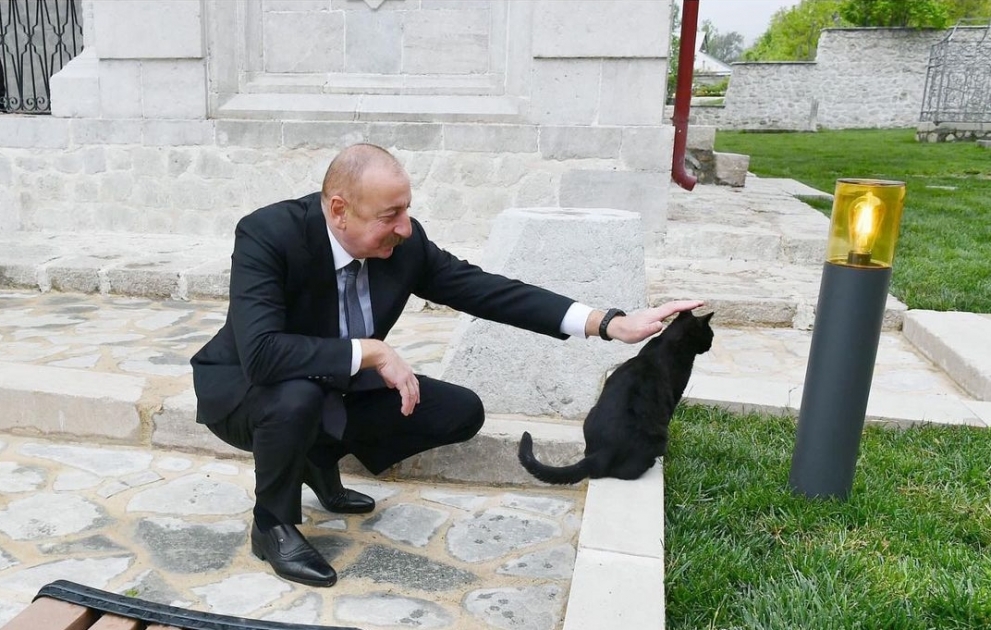 Mehriban Aliyeva partage sur Instagram une publication de Choucha VIDEO