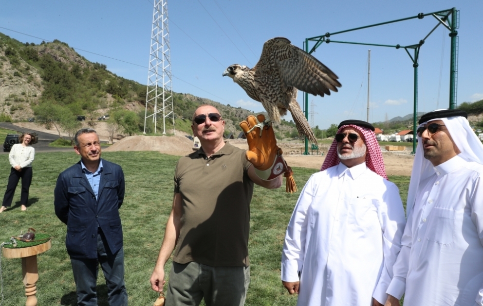 East Caucasian turs, falcons were released into the wild, different species of fish into Hakari river VIDEO
