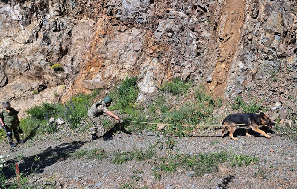 Ministry of Defense: Up to 640 hectares of land were completely cleared of mines in the liberated areas in June VIDEO
