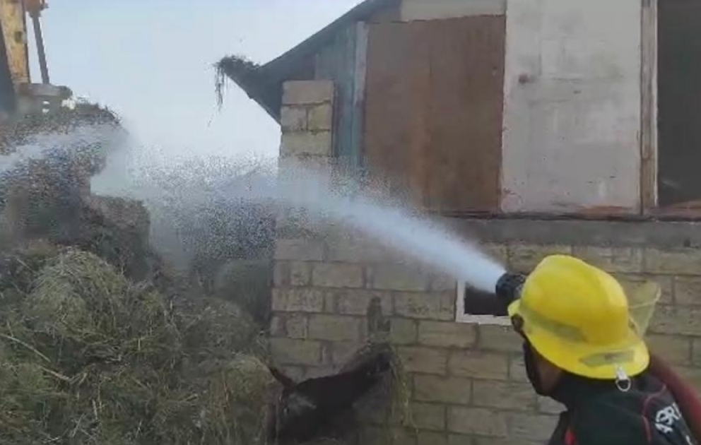 FHN: Zərdabda həyətyanı sahədə yanğın baş verib VİDEO