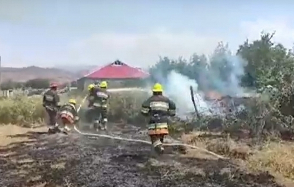 Şərur rayonunun Maxta kəndində baş verən yanğının genişlənməsinin qarşısı alınıb VİDEO