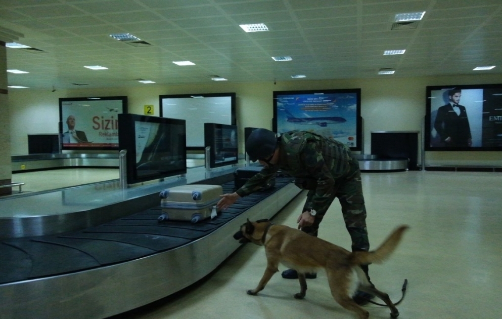 Fövqəladə Hallar Nazirliyi və Heydər Əliyev Beynəlxalq Aeroportu birgə təlim keçirib VİDEO