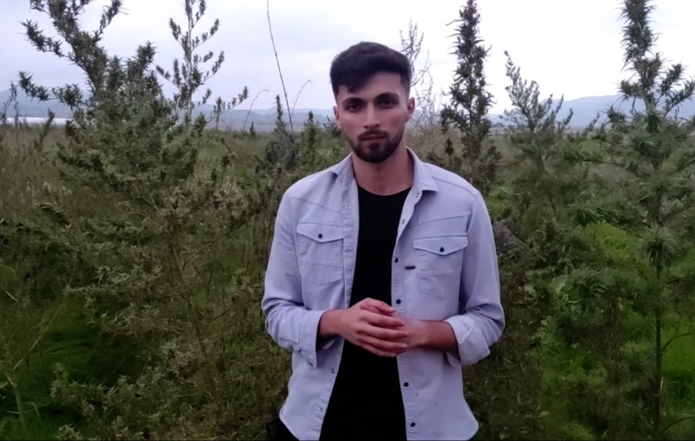 Xocalının Təzəbinə kəndində çətənə kolu plantasiyası aşkarlanıb VİDEO