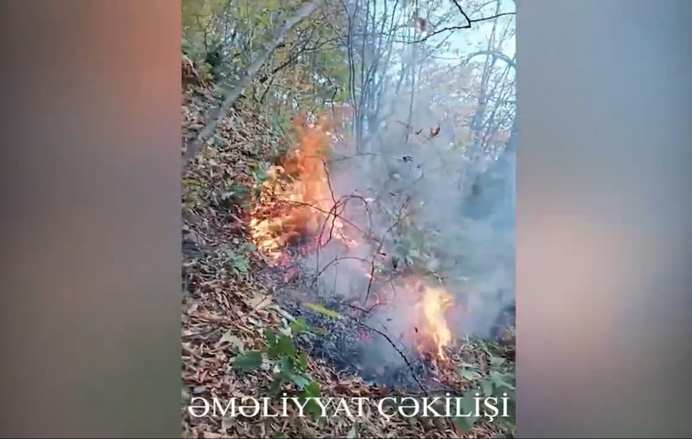 Şahdağ Milli Parkının ərazisində yanğın baş verib VİDEO