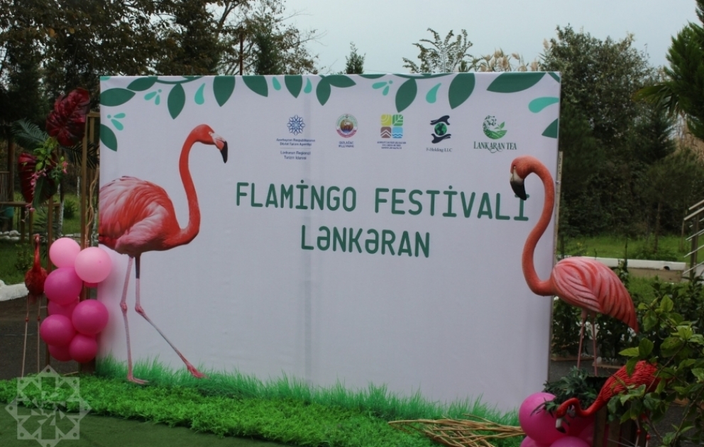Qızılağac Milli Parkında ilk dəfə “Flaminqo festivalı” keçirilir  FOTO VİDEO