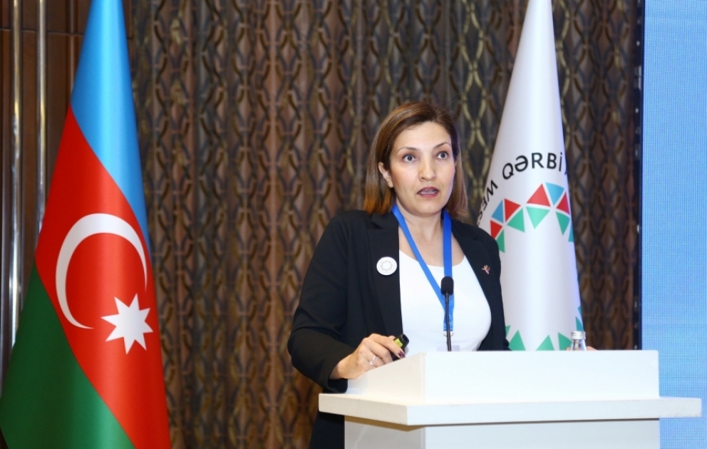 Türk professor: İrəvandakı Azərbaycan izləri məqsədli şəkildə silinib VİDEO