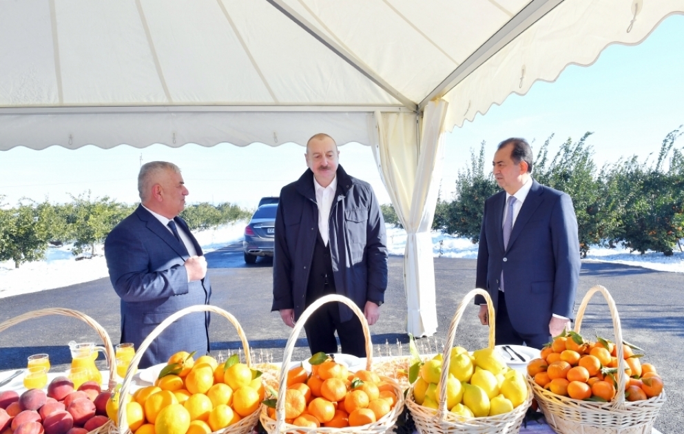 Präsident Ilham Aliyev zu Besuch in Lankaran  AKTUALISIERT VIDEO