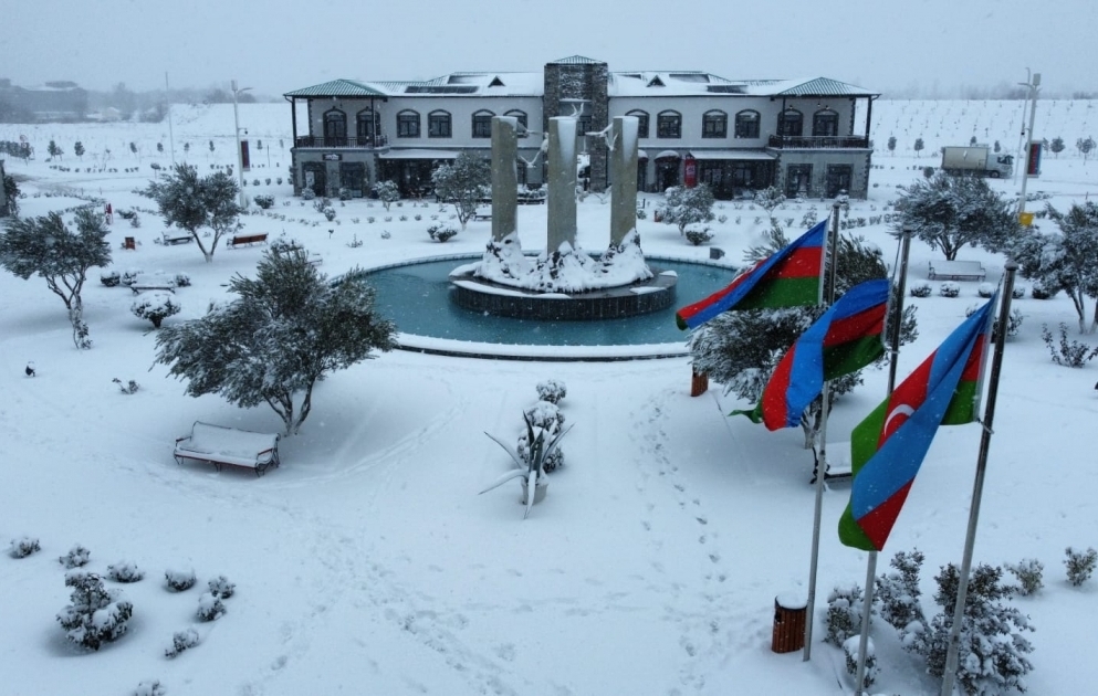 Bəmbəyaz olan Ağalıdan son görüntülər  FOTO VİDEO