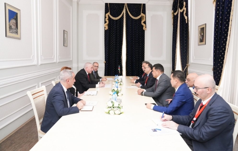 Chairman of Central Election Commission meets with TURKPA delegation VIDEO