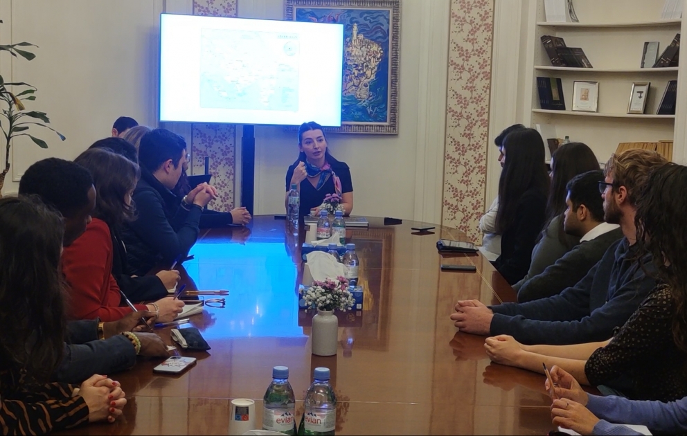 Лейла Абдуллаева: Намерение Азербайджана – внести вклад в установление стабильности и мира в регионе ВИДЕО