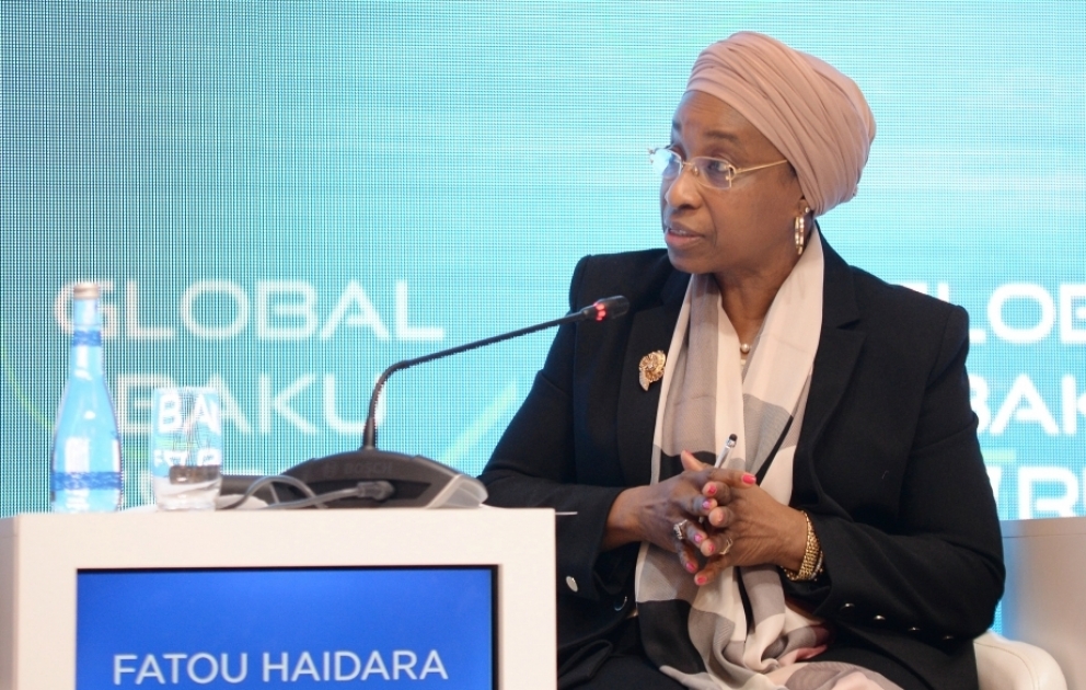 BMT nümayəndəsi: COP29-un qarşısında çox çətin məsələlərin həlləri dayanır VİDEO