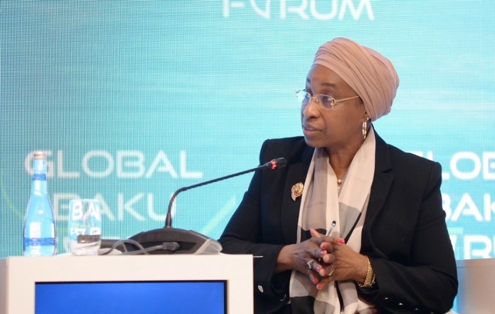 Fatou Haidara: COP29 confronts challenges in addressing complex issues VİDEO