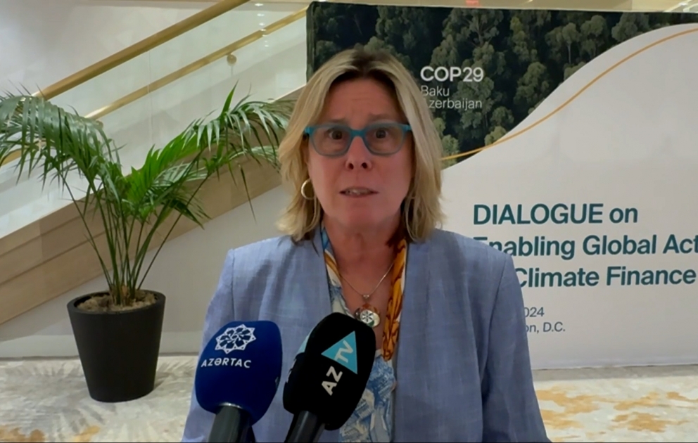 Представитель Всемирного банка: Мы рады, что Азербайджан примет COP29 ВИДЕО