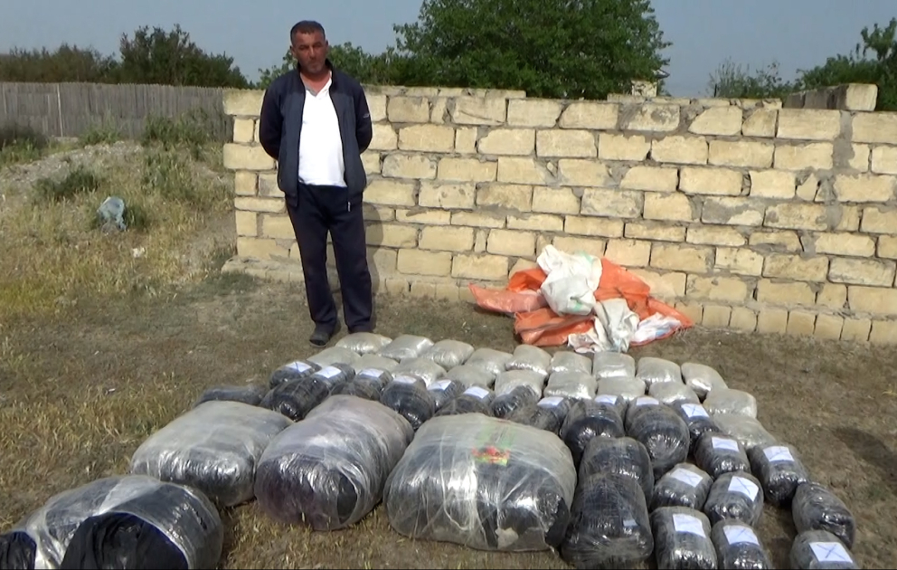 İrandan Azərbaycana 87 kiloqram narkotik vasitə gətirən Neftçala rayon sakini saxlanılıb VİDEO
