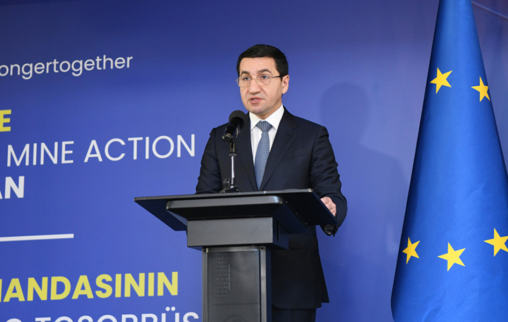 Prezidentin köməkçisi: Mina problemi həm sülh prosesinə mane olur, həm də mədəni irsə ciddi ziyan vurur VİDEO
