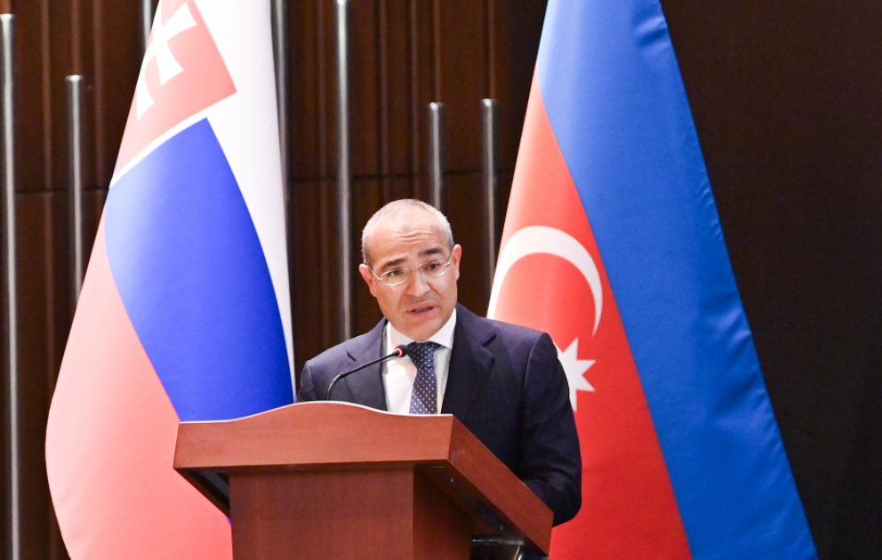 Mikayıl Cabbarov: Azərbaycan ilə Slovakiya arasında biznes mühiti daha da yaxşılaşacaq VİDEO