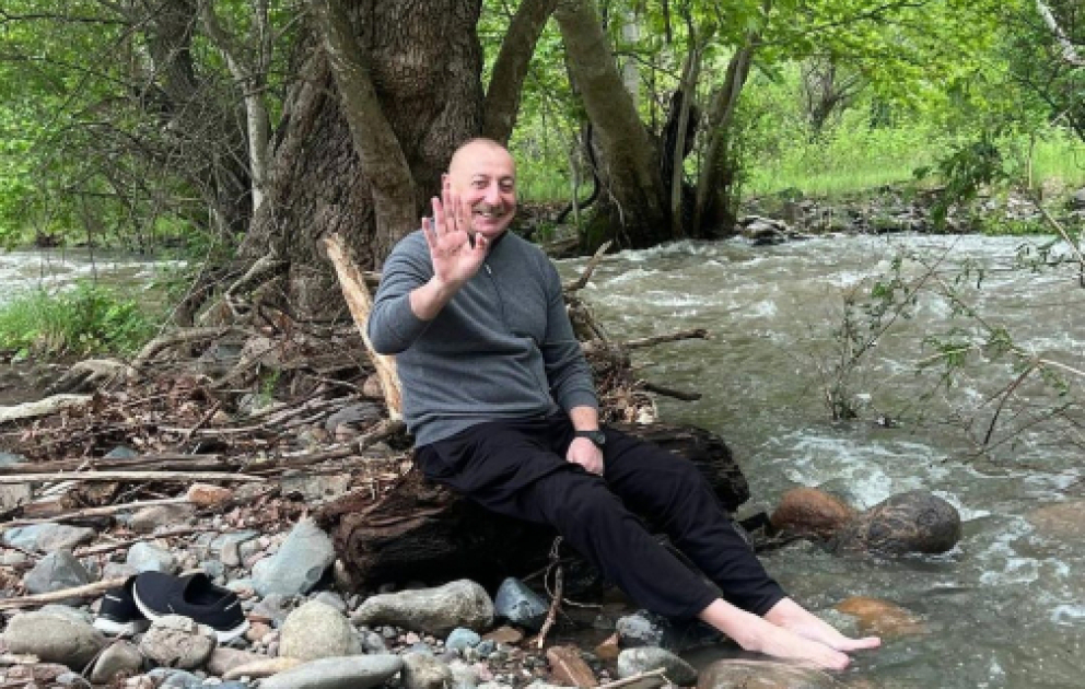 First Vice-President Mehriban Aliyeva shared Instagram post on Zangilan trip VIDEO
