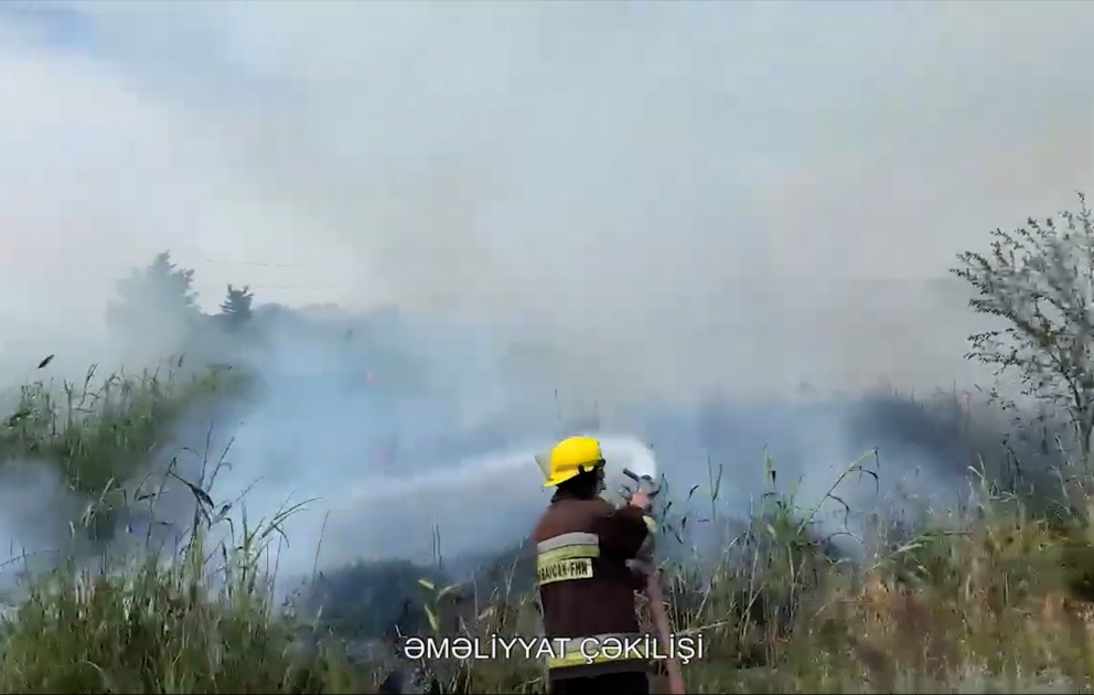 Zabrat qəsəbəsi ərazisində 600 kvadratmetr sahədə qamışlıq və quru ot yanıb VİDEO