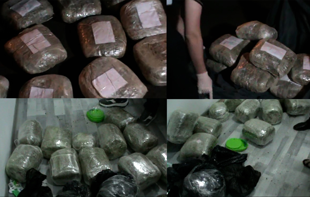 DİN: Azərbaycana 42 kiloqram marixuana gətirən daha 2 narkokuryer saxlanılıb VİDEO