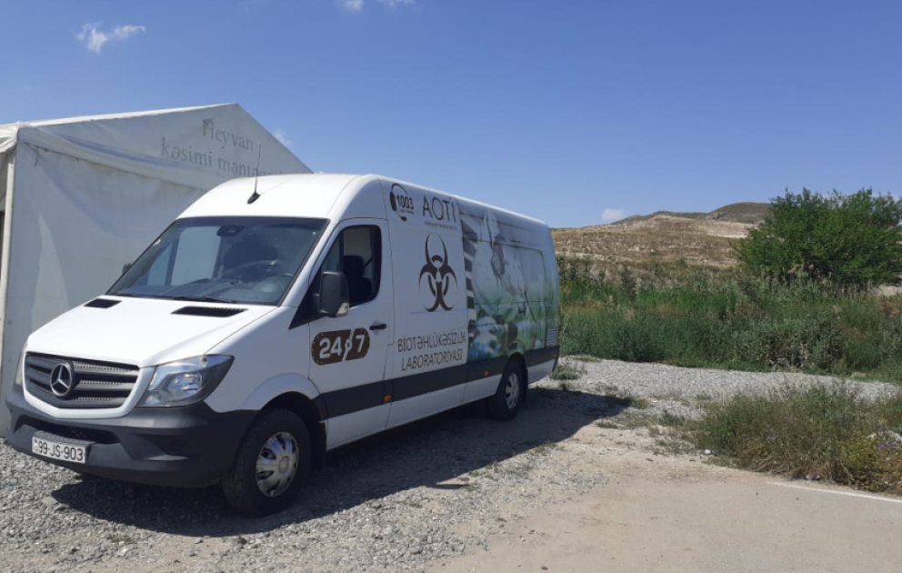 Ağalı sakinlərinin qurbanlarını kəsməsi üçün kənddə səyyar çadır məntəqəsi qurulub VİDEO