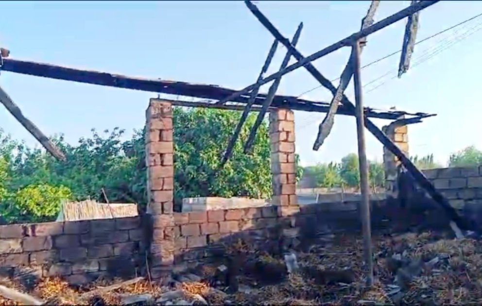 Sabirabadda yanğın zamanı iribuynuzlu heyvanlar tələf olub VİDEO