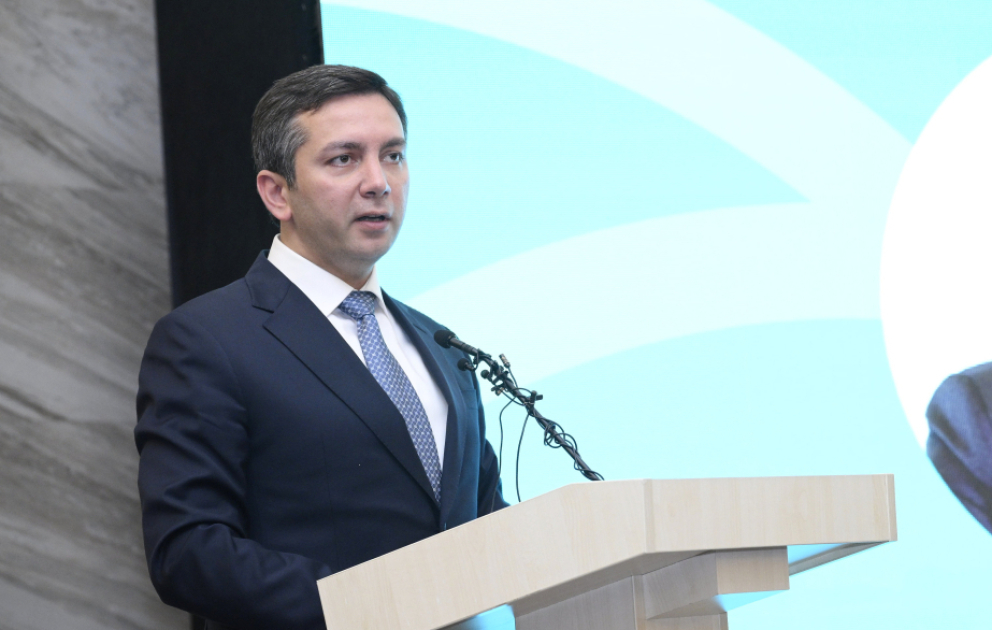 ‘Azerbaijan’s successful chairmanship of Non-Aligned Movement inspired us to be host of COP29’ VIDEO