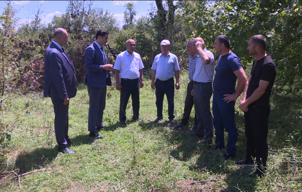 Qaxda baş verən təbii fəlakətlər aqrar sığortanın əhəmiyyətini bir daha göstərdi VİDEO