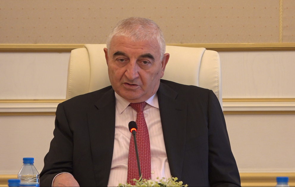 MSK sədri: Naxçıvanda seçki məntəqələrində bir sıra problemlər var  VİDEO