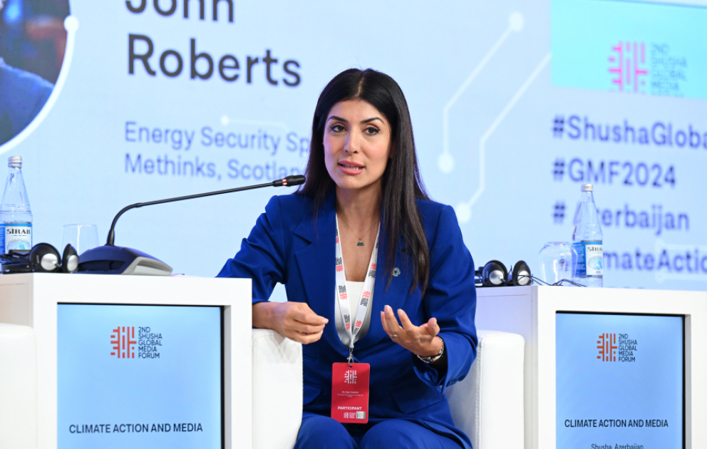 Nigar Arpadarai: Biz iqlim dəyişikliyi ilə mübarizədə inklüziv yanaşmanı istəyirik VİDEO