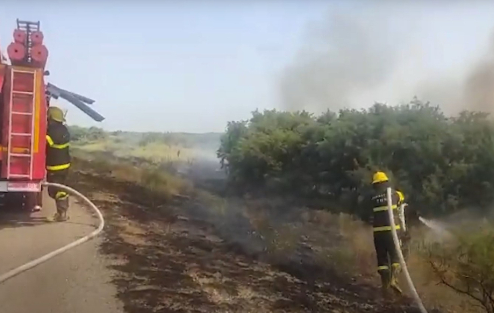 FHN: Goranboyda yol kənarında qamışlıq sahə yanıb VİDEO