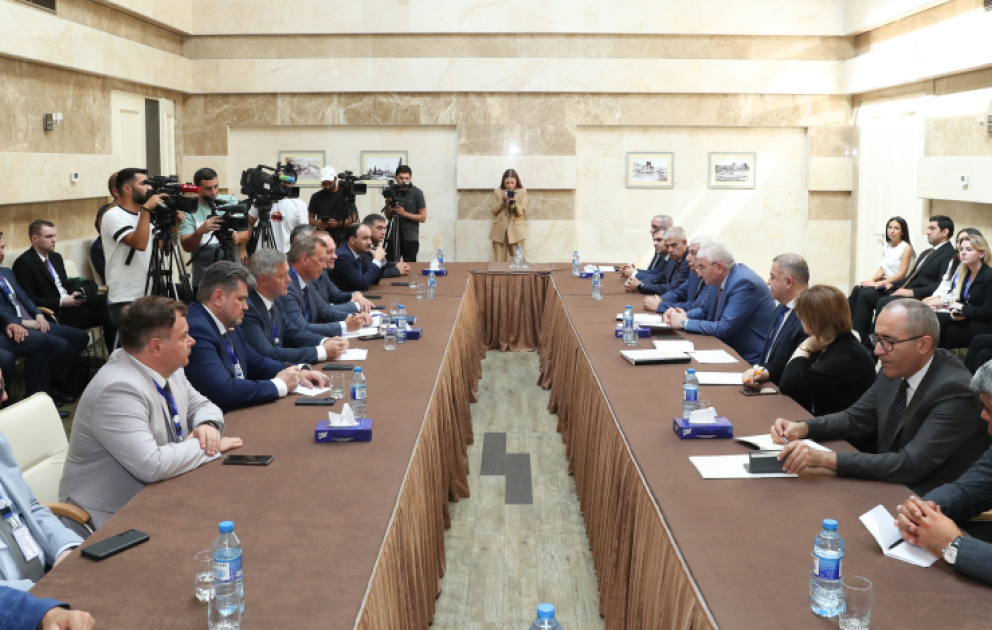 MSK sədri Məzahir Pənahov MDB PA-nın müşahidə missiyası ilə görüşüb VİDEO