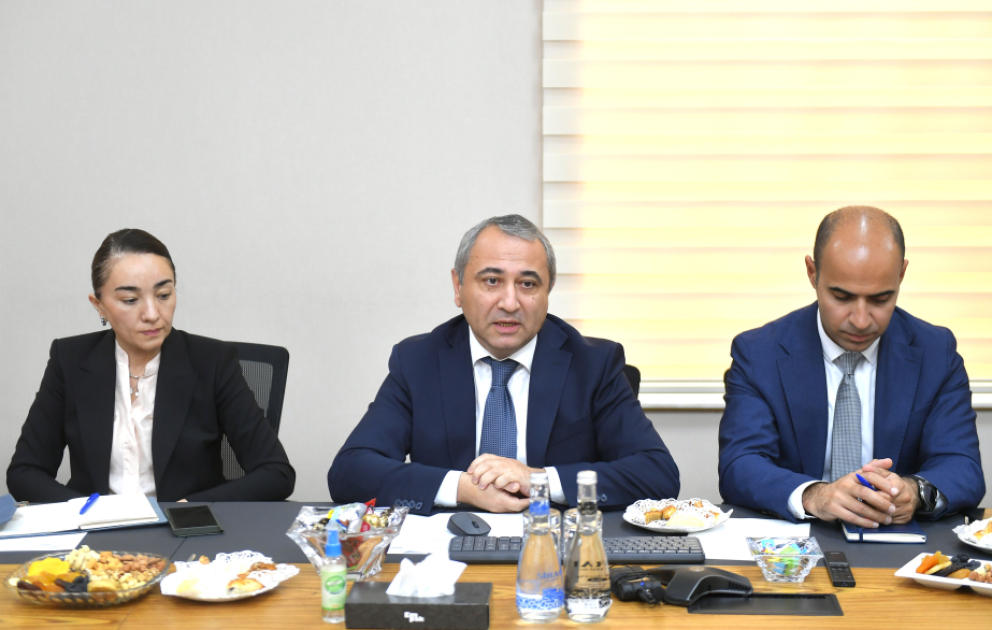 AYNA: 2030-cu ilə qədər səfərlərin 30-40 faizi fərdi nəqliyyatla olacaq VİDEO