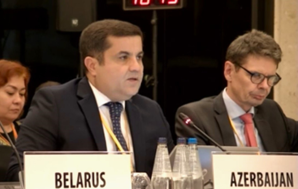 Aydın Səfixanlı: Azərbaycanda qadınlara qarşı zorakılığın aradan qaldırılması istiqamətində kompleks tədbirlər həyata keçirilib VİDEO