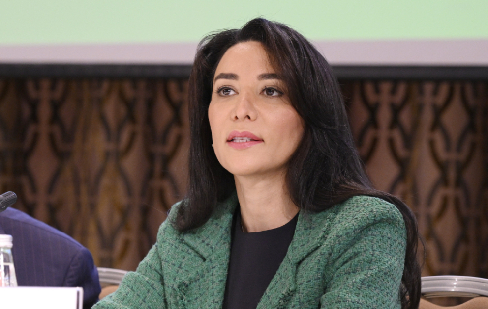 Səbinə Əliyeva: Əqli mülkiyyət hüquqlarının qorunması bir sıra fundamental hüquqların təmininə də imkan yaradır VİDEO