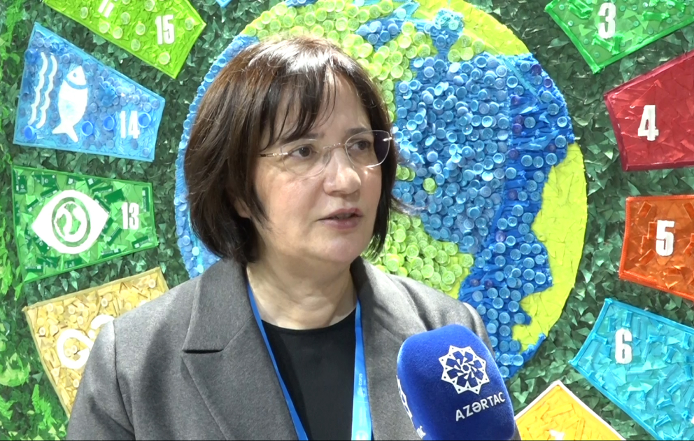 Fatma Varank: COP29-un öz məqsədinə çatmasında Azərbaycanın tərəfində olacağıq VİDEO