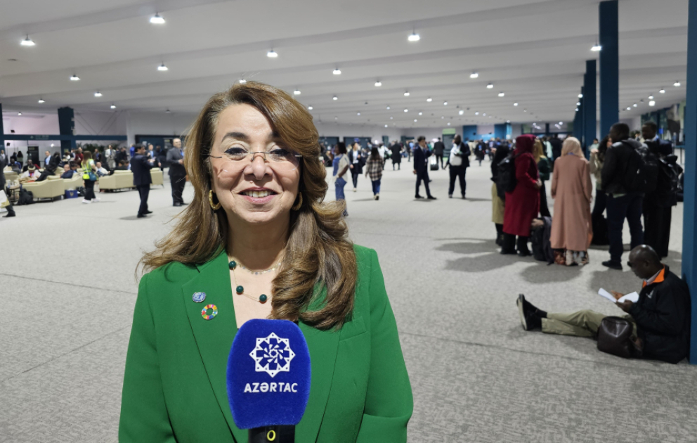 BMT-nin Vyana bölməsinin Baş direktoru: Ətraf mühitə qarşı cinayətlər biomüxtəlifliyə birbaşa təsir göstərir VİDEO