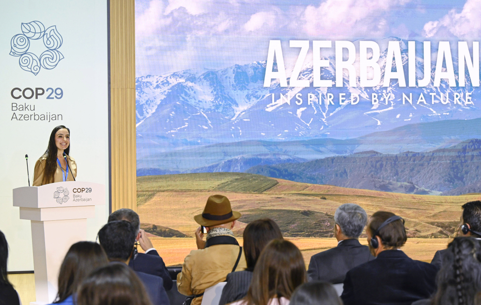 COP29 çərçivəsində Heydər Əliyev Fondunun “Azərbaycan. Təbiətin sehrində” nəşri təqdim edilib VİDEO