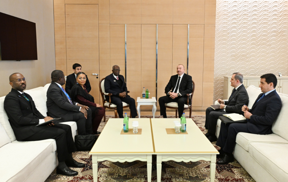 President of Azerbaijan Ilham Aliyev met with Vice-President of Gabon VIDEO