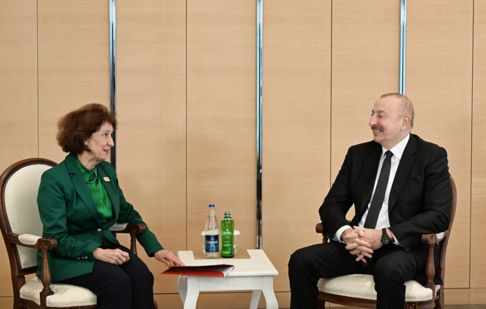 President of Azerbaijan Ilham Aliyev met with President of North MacedoniaVIDEO