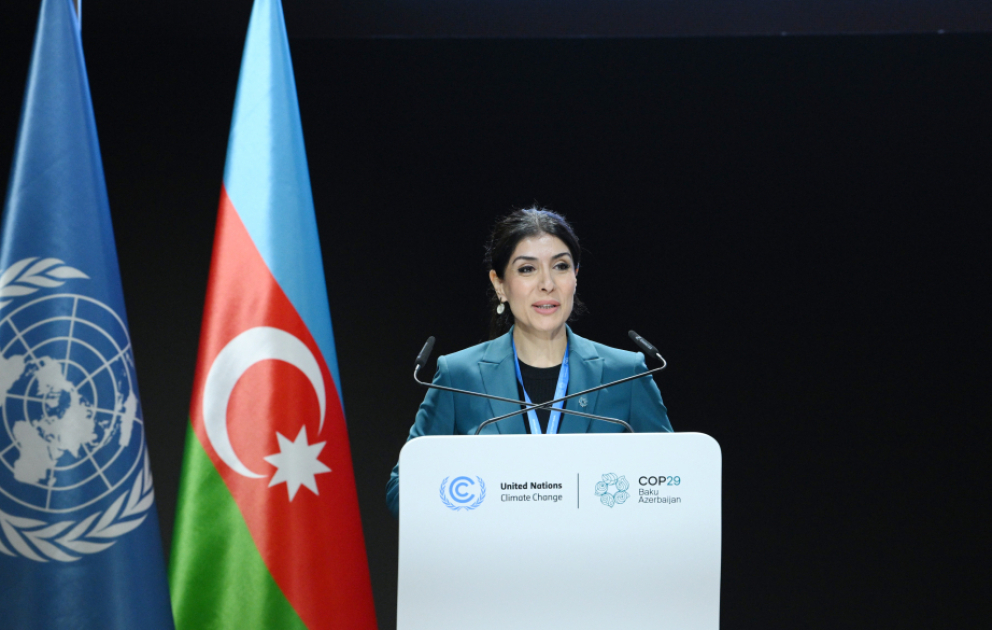 Nigar Arpadarai: Ədalətli yaşıl keçiddə uğur qazanmağın yeganə yolu daha geniş konsensus qurmaq və bölücü ritorikadan qaçmaqdır VİDEO