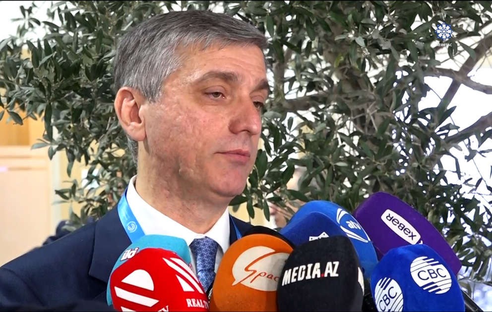 Vüqar Gülməmmədov: İqlim Skanerinin nəticələri dünyanın üçdəbir ölkəsinin iqlim dəyişikliyi ilə bağlı strategiyaya malik olmadığını göstərdi VİDEO