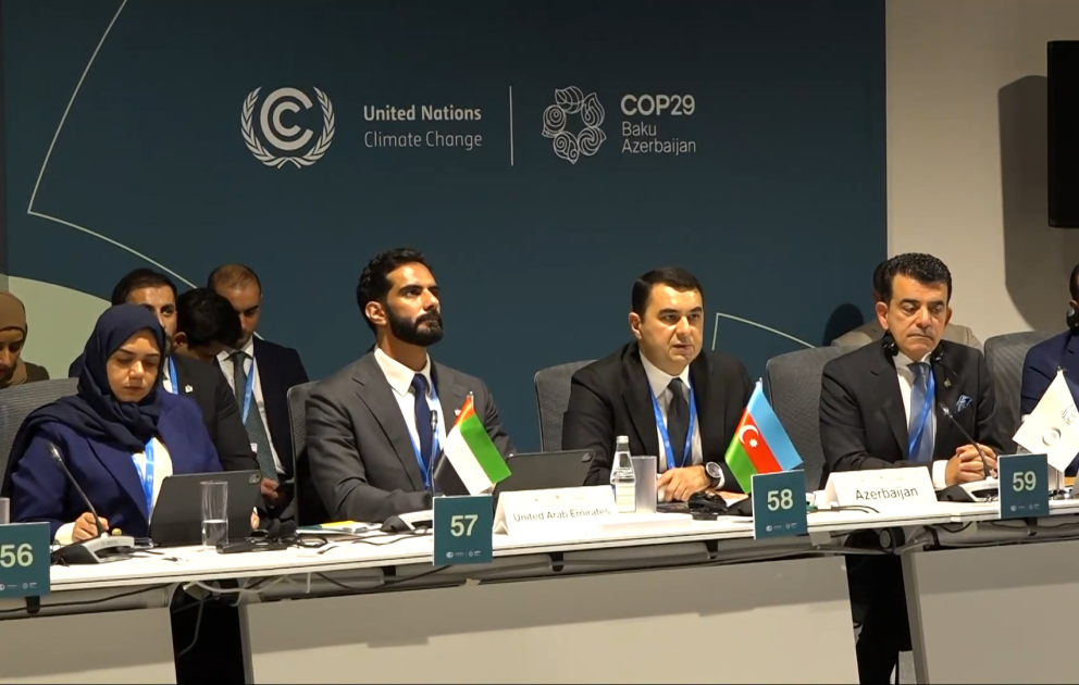 COP29 çərçivəsində Mədəniyyət Nazirlərinin 2-ci Yüksək Səviyyəli Görüşü təşkil edilib VİDEO