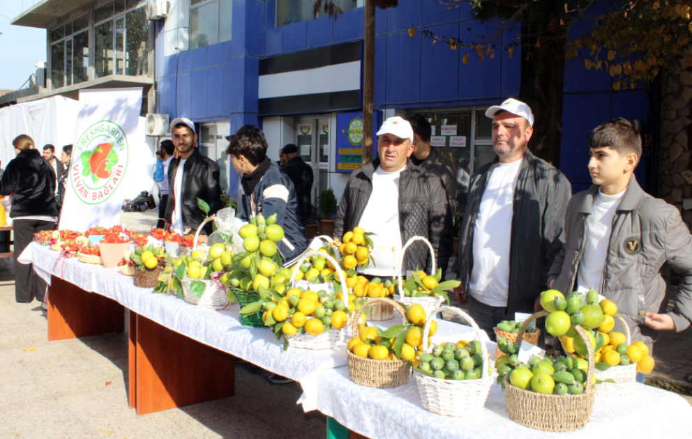Lənkəranda "Yaşıl Dünya Naminə Ekofestival" keçirilib VİDEO