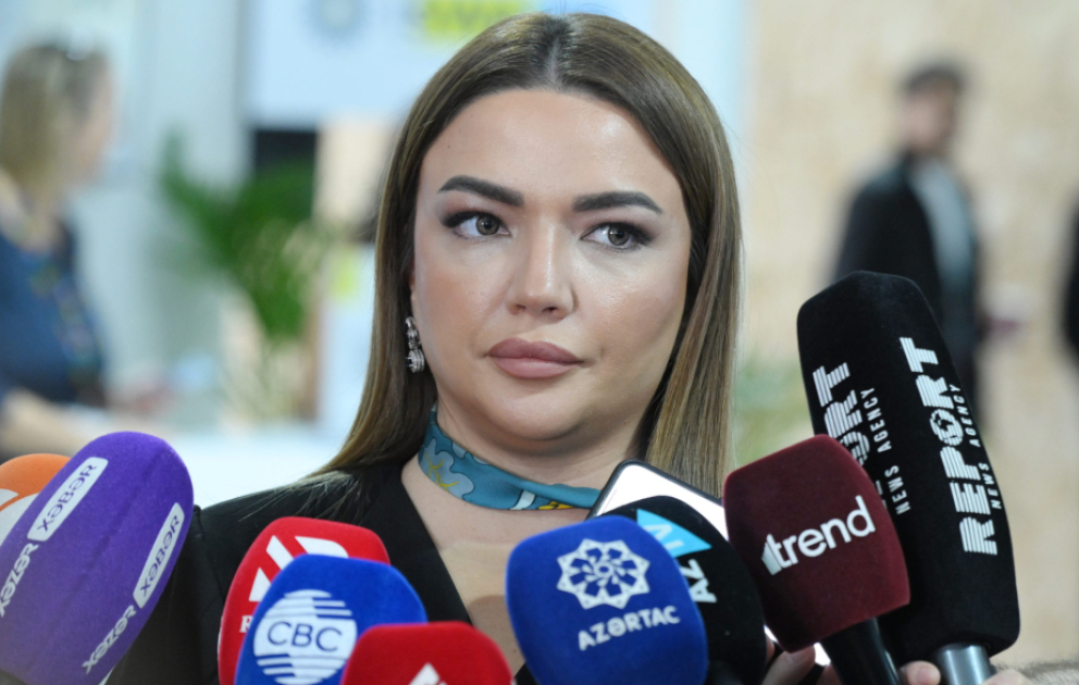 Aygün Əliyeva: Türk dövlətlərini təmsil edən QHT-lərin Forumunun keçirilməsi çox önəmlidir VİDEO