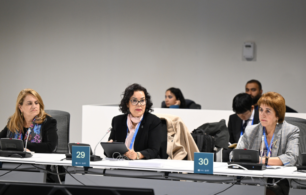 COP29-da aşağı emissiyalı ərzaq sistemlərinə transformasiyada elm və innovasiyanın rolu müzakirə edilib VİDEO