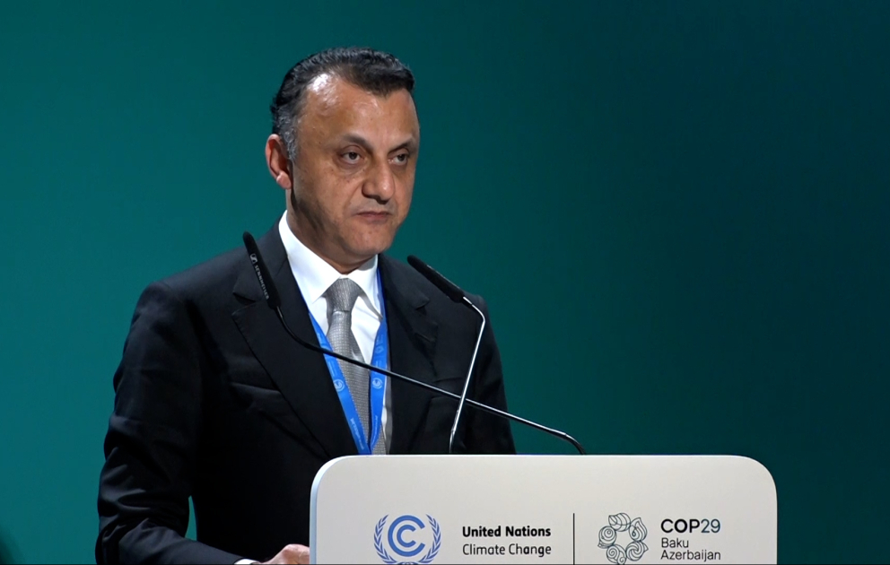Vüqar Qurbanov: İqlim dəyişiklikləri insanlar arasında yayılan xəstəliklərin növlərinə təsir göstərir VİDEO