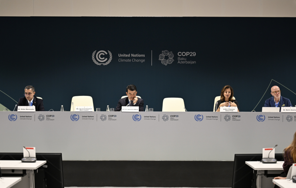 Bakıda “İqlim üçün mədəniyyət: Gənclərin davranış dəyişikliyinin formalaşdırılmasına cəlb edilməsi" adlı panel keçirilib VİDEO
