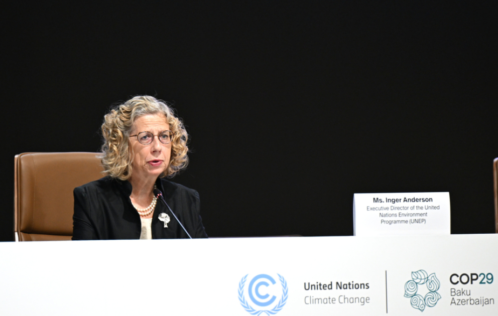 UNEP-in icraçı direktoru: Dünyada qaz emissiyalarının 52 faizi 25 meqapolisin payına düşür VİDEO